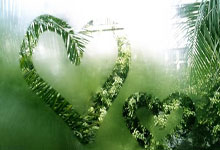 足球直播在线观看-楚阿梅尼一锤定音，荷兰力克委内瑞拉晋级争冠战